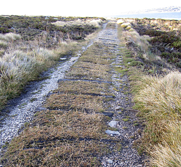 Cambertrack2011