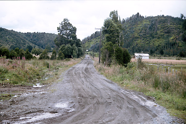 Chiloe2000Puntratrackbed