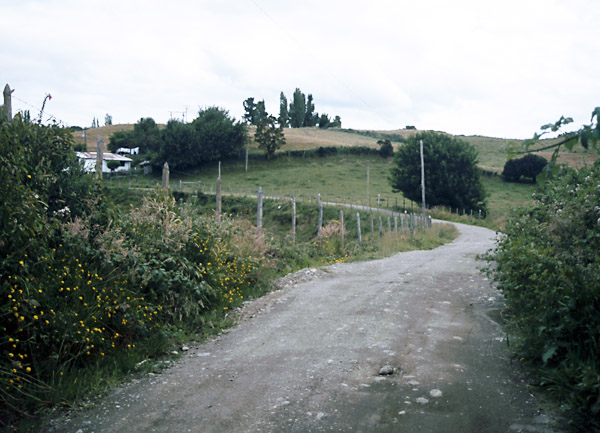 Chiloe2000trackbedatllauLlau