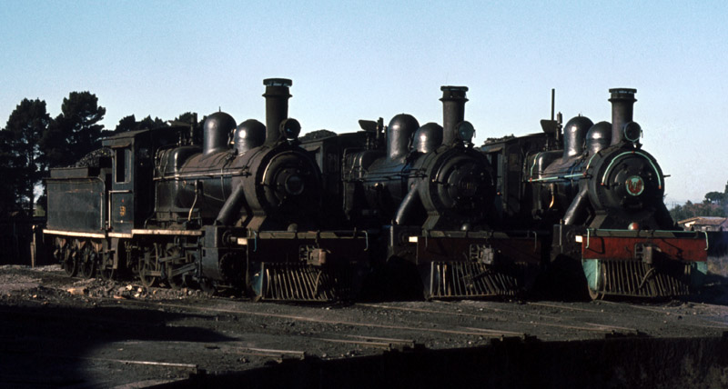 SAm262Victoriathree260s375