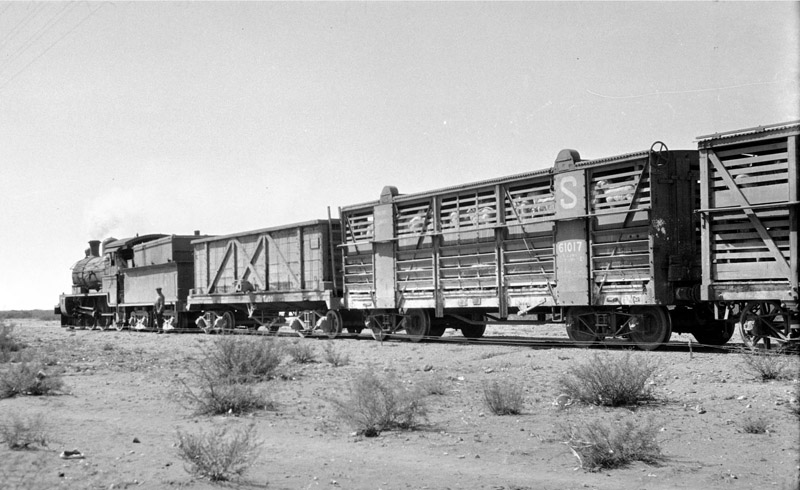 SheeptrainatBZorilla1930RSP