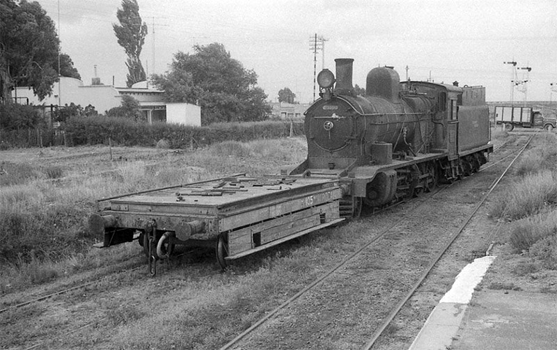 Class11andshunterstruckatPatagones